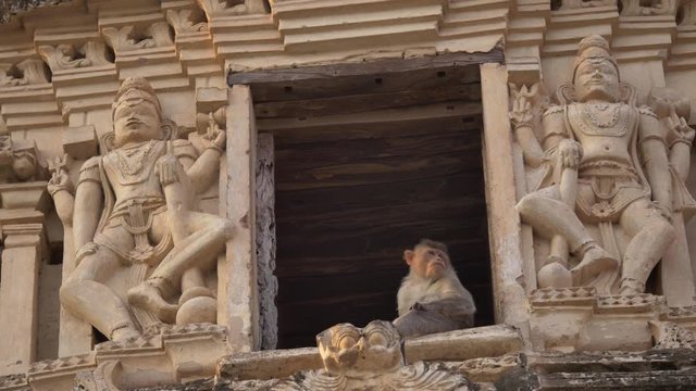 The monkey sits in the temple. Hampi.