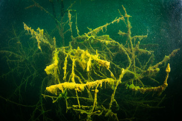 At the bottom of the river