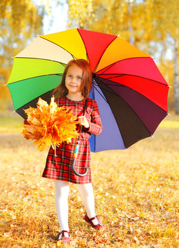 Cute little girl child with colorful umbrella and yellow maple l