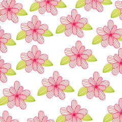 beautiful flower drawing isolated vector illustration design