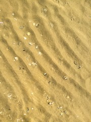 sea holidays in summer in the middle on the beach