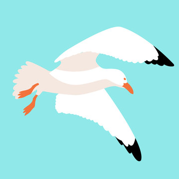 seagull in flight vector illustration style Flat sky