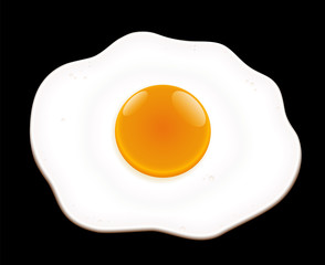 Fried egg on black background- isolated vector illustration.