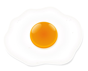 Fried egg - isolated vector illustration on white background.