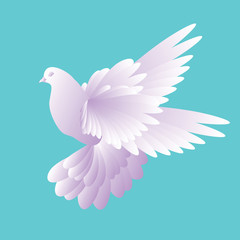 White dove in a blue sky . pigeon  flying on the wing.Vector illustration