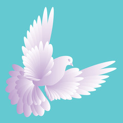 White dove in a blue sky . pigeon  flying on the wing.Vector illustration