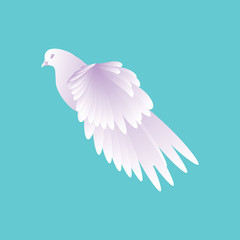 White dove in a blue sky . pigeon  flying on the wing.Vector illustration