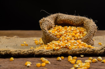 Dried corn in sackbag on wooden table