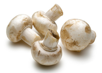 Mushrooms