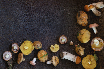 Fototapeta na wymiar Variety of forest mushrooms