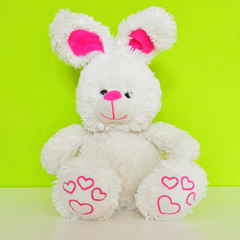 plush toy rabbit