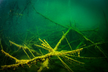 At the bottom of the river