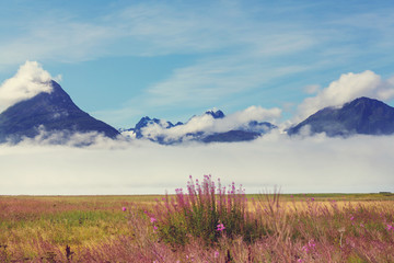 Alaska