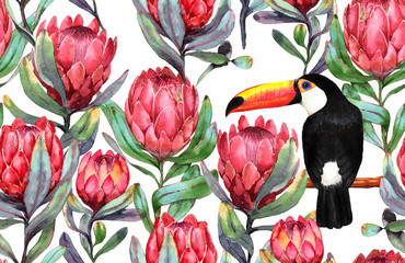 Hand-drawn watercolor seamless tropical pattern with red protea flowers and big black toucan bird. Colorful exotic summer print with floral elements for the textile and wallpapers. © anastasianio