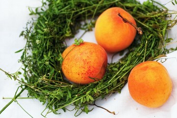 Fototapeta na wymiar Three apricot and grass wreath