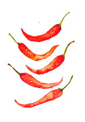 Red hot chilies on white, watercolor painting