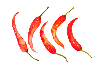Red hot chilies on white, watercolor illustrator