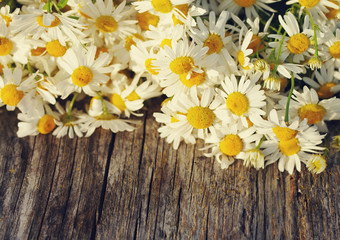 Obraz premium Bouquet of field camomiles on a wooden background. Spring meadow flowers. Natural cute background.