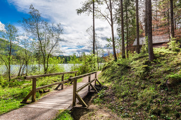 Forest path to a wooden hut in the Alps