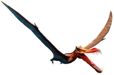 Anhanguera from the Cretaceous era 3D illustration © warpaintcobra