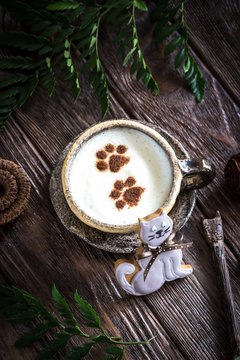 Cup of coffee cappuccino, cat tracks and gingerbread cat