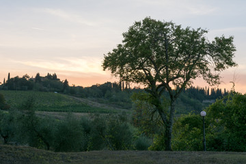 Aussicht in der Toskana in die Natur