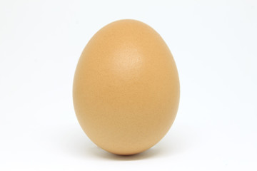 Single brown chicken egg isolated on white