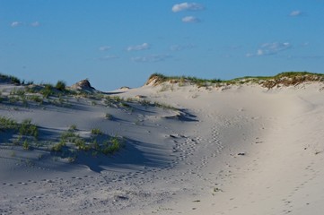 Sunny beach day with clear blue sky