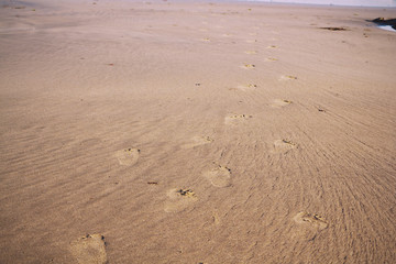 Fototapeta na wymiar Footprints in the sand on Polzeath beach Vintage Retro Filter.