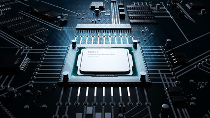 processor
