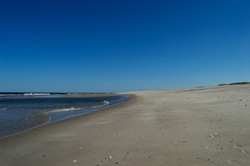 Sunny beach day with clear blue sky