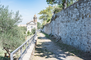 The hills of Montalcino and the church, the wine town, Siena, Tuscany, Italy