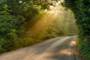 Golden majestic light beams shining through tree canopies onto a country road in the English Peak District on a beautiful Autumn morning. 