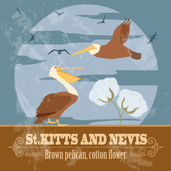 Saint Kitts and Nevis national symbols. Brown pelican, cotton fl