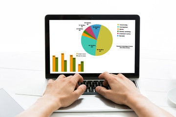 (STATISTICS) graphs on the computer screen, concept of freelance