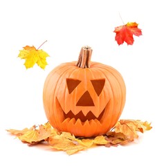 Naklejka na ściany i meble Halloween pumpkin. Halloween pumpkin and autumn leaves. Halloween pumpkin isolated on white. 