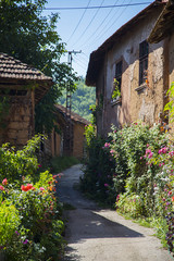 Fototapeta premium Old village