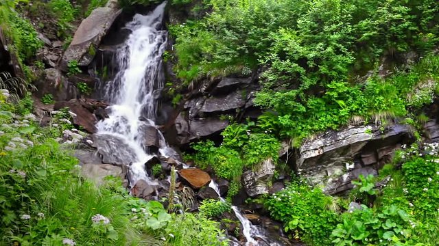 Mountain stream with a waterfall in the fairy forest of the Carpathians