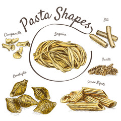 Pasta illustration set.