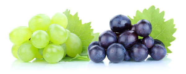 Trauben Weintrauben grün blau frische Früchte Obst - obrazy, fototapety, plakaty