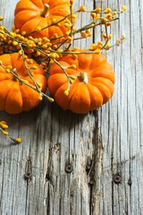 Autumn background with pumpkins with copy space, selective focus