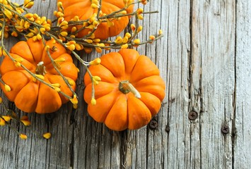 Autumn background with pumpkins with copy space, selective focus