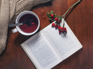 Cup of tea with a book and rosehips, autumn, winter still life