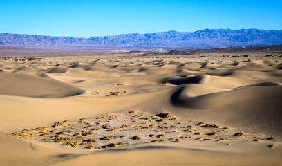 Fototapeta na wymiar Death Valley National Park