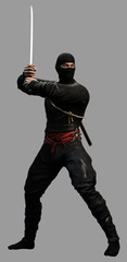 Ninja © warpaintcobra