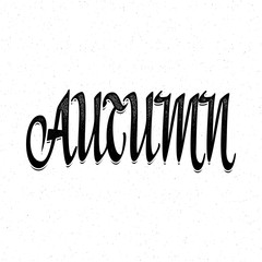 Fototapeta na wymiar Autumn poster. Fall modern calligraphic composition. Digital lettering handmade