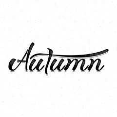 Autumn poster. Fall modern calligraphic composition. Digital lettering handmade