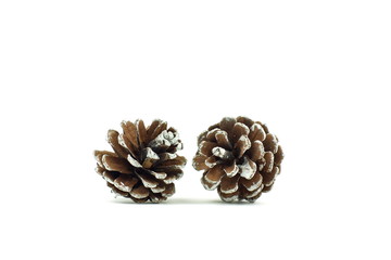 Small pine cone on white background. Decoration for Christmas season.