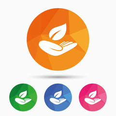 Nature insurance sign. Hand holds leaf symbol