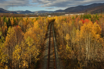 Old railway in the colorful autumn forest (view from above). City of Kirovsk, Murmansk region, Kola peninsula, Russia. - 120204275